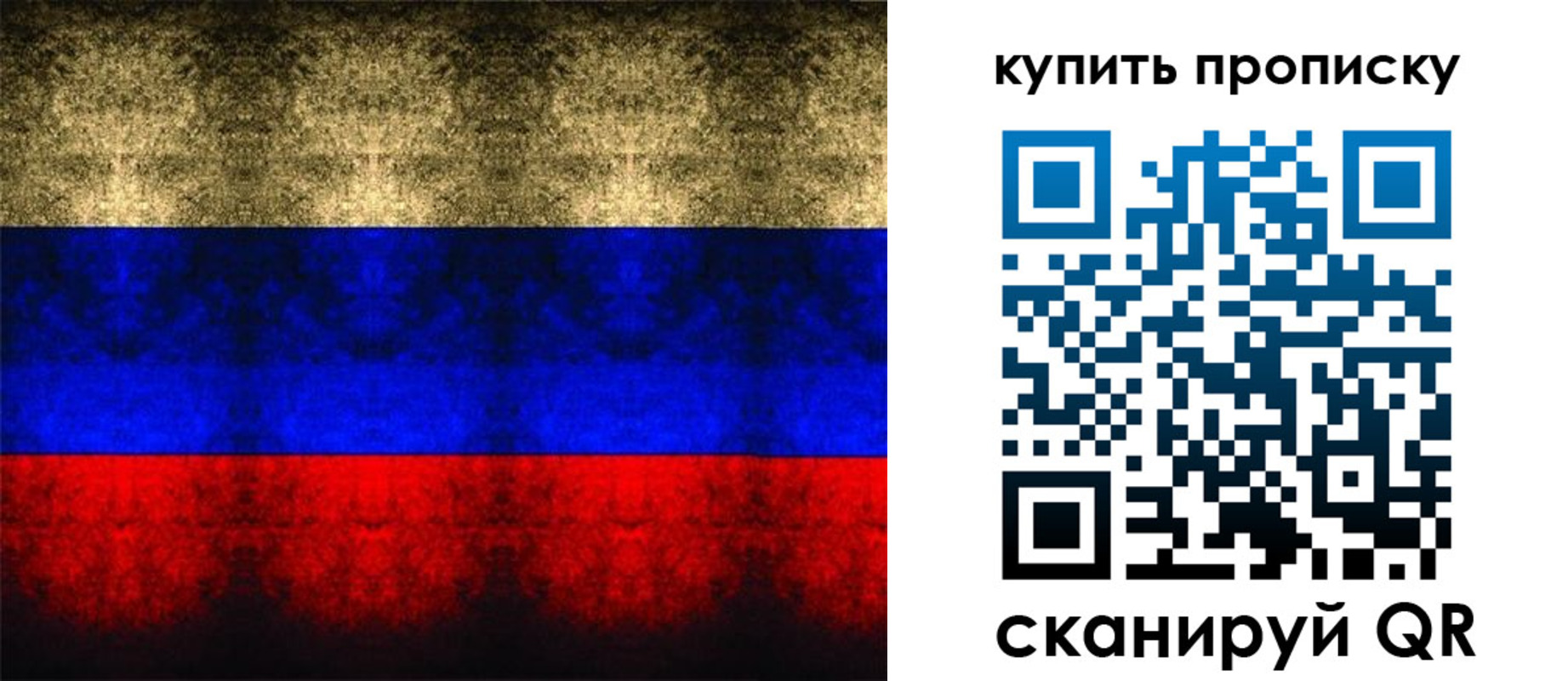 прописка в Курской области